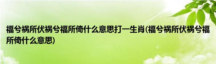 福兮祸所伏祸兮福所倚什么意思打一生肖(福兮祸所伏祸兮福所倚什么意思)