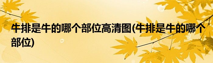 牛排是牛的哪个部位高清图(牛排是牛的哪个部位)