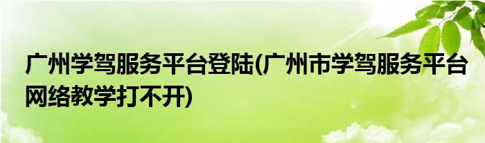 广州学驾服务平台登陆(广州市学驾服务平台网络教学打不开)