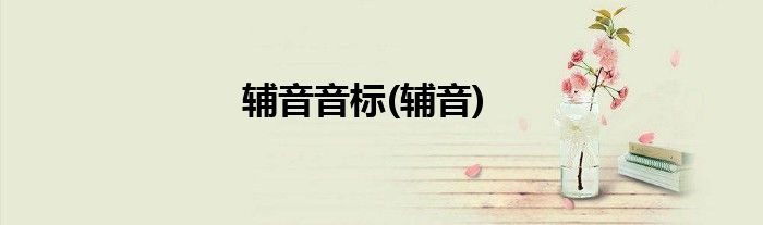 辅音音标(辅音)