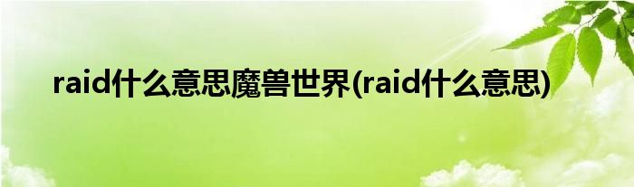 raid什么意思魔兽世界(raid什么意思)
