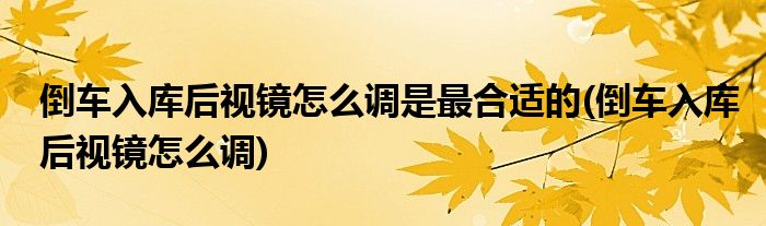 倒车入库后视镜怎么调是最合适的(倒车入库后视镜怎么调)