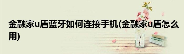 金融家u盾蓝牙如何连接手机(金融家u盾怎么用)