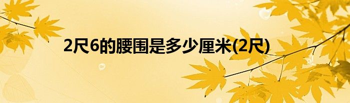 2尺6的腰围是多少厘米(2尺)