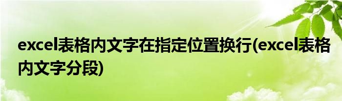 excel表格内文字在指定位置换行(excel表格内文字分段)
