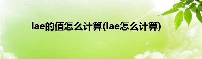 lae的值怎么计算(lae怎么计算)