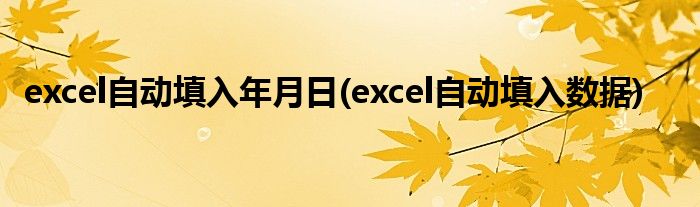 excel自动填入年月日(excel自动填入数据)