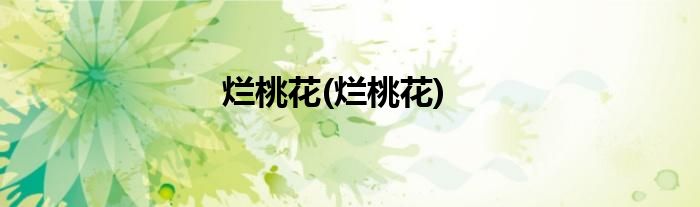 烂桃花(烂桃花)