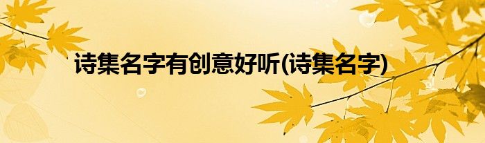 诗集名字有创意好听(诗集名字)