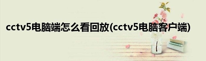 cctv5电脑端怎么看回放(cctv5电脑客户端)
