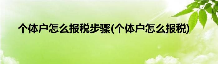 个体户怎么报税步骤(个体户怎么报税)