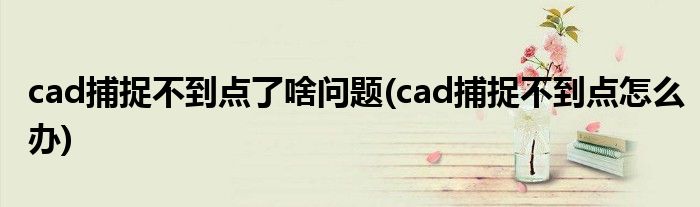 cad捕捉不到点了啥问题(cad捕捉不到点怎么办)