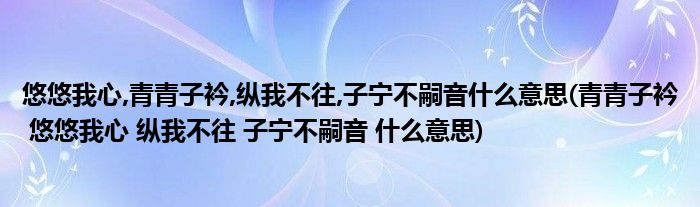 悠悠我心,青青子衿,纵我不往,子宁不嗣音什么意思(青青子衿 悠悠我心 纵我不往 子宁不嗣音 什么意思)