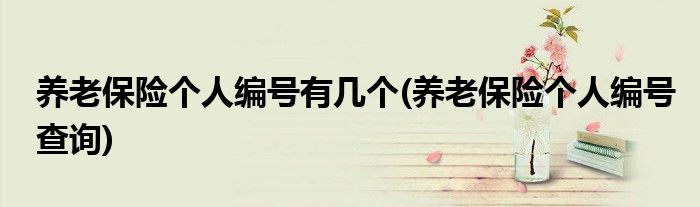 养老保险个人编号有几个(养老保险个人编号查询)
