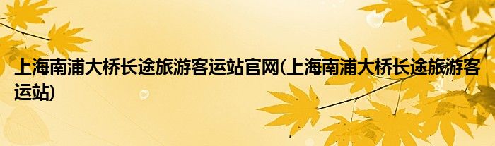 上海南浦大桥长途旅游客运站官网(上海南浦大桥长途旅游客运站)