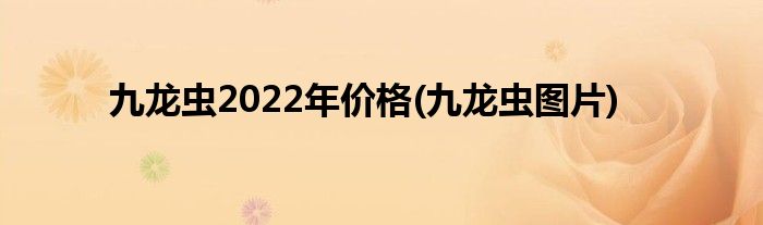 九龙虫2022年价格(九龙虫图片)