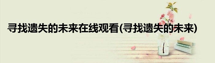 寻找遗失的未来在线观看(寻找遗失的未来)