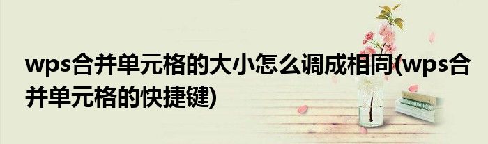 wps合并单元格的大小怎么调成相同(wps合并单元格的快捷键)