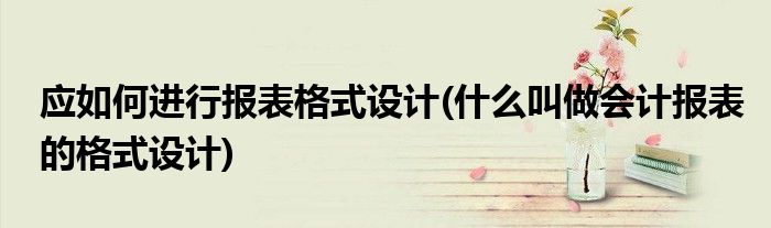 应如何进行报表格式设计(什么叫做会计报表的格式设计)