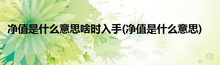 净值是什么意思啥时入手(净值是什么意思)