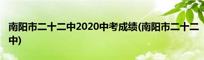 南阳市二十二中2020中考成绩(南阳市二十二中)