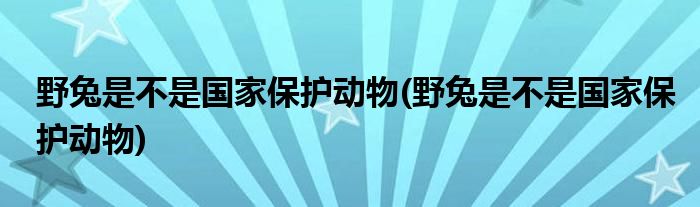 野兔是不是国家保护动物(野兔是不是国家保护动物)