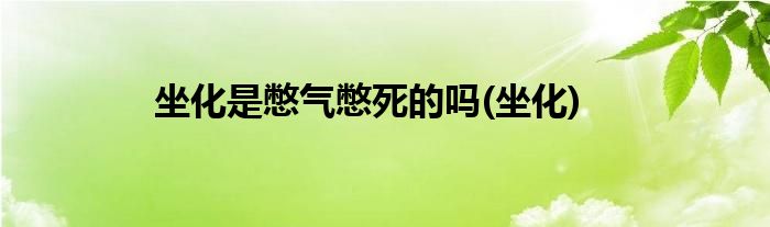 坐化是憋气憋死的吗(坐化)