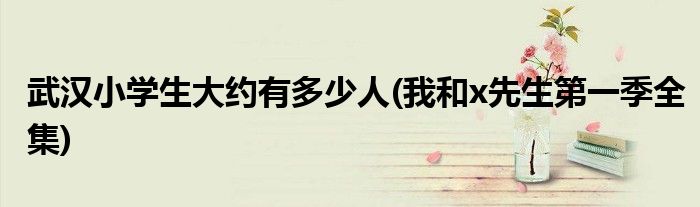 武汉小学生大约有多少人(我和x先生第一季全集)
