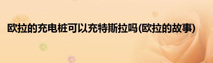 欧拉的充电桩可以充特斯拉吗(欧拉的故事)