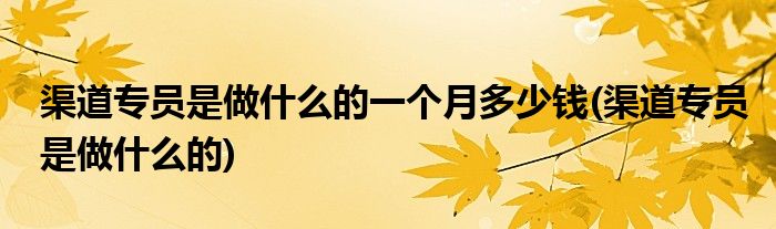渠道专员是做什么的一个月多少钱(渠道专员是做什么的)