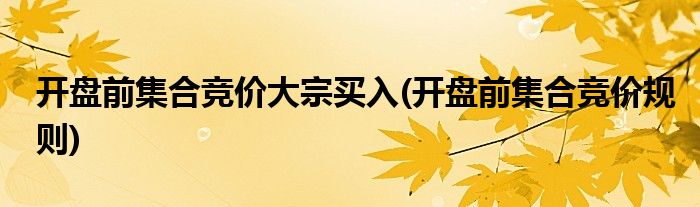 开盘前集合竞价大宗买入(开盘前集合竞价规则)