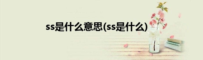 ss是什么意思(ss是什么)