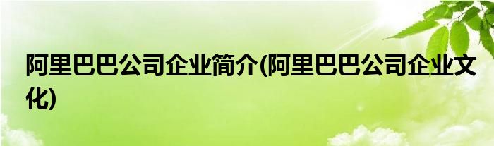 阿里巴巴公司企业简介(阿里巴巴公司企业文化)