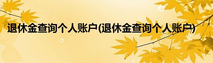 退休金查询个人账户(退休金查询个人账户)