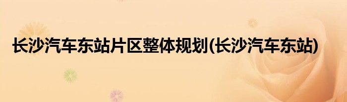 长沙汽车东站片区整体规划(长沙汽车东站)
