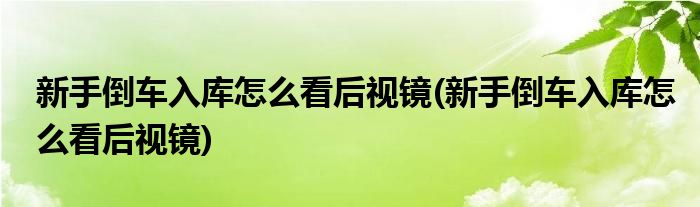 新手倒车入库怎么看后视镜(新手倒车入库怎么看后视镜)