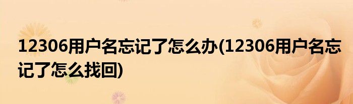 12306用户名忘记了怎么办(12306用户名忘记了怎么找回)