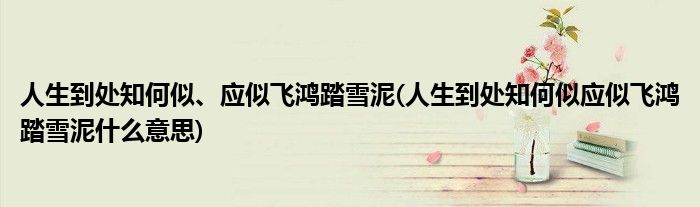 人生到处知何似、应似飞鸿踏雪泥(人生到处知何似应似飞鸿踏雪泥什么意思)