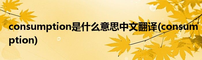consumption是什么意思中文翻译(consumption)