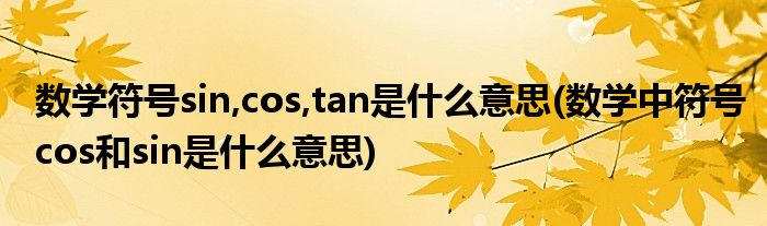 数学符号sin,cos,tan是什么意思(数学中符号cos和sin是什么意思)