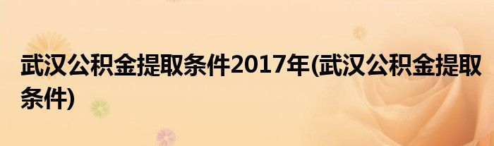 武汉公积金提取条件2017年(武汉公积金提取条件)