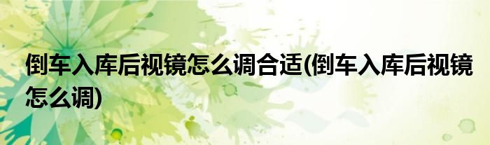 倒车入库后视镜怎么调合适(倒车入库后视镜怎么调)