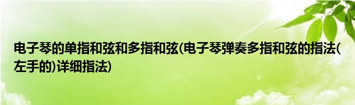 电子琴的单指和弦和多指和弦(电子琴弹奏多指和弦的指法(左手的)详细指法)