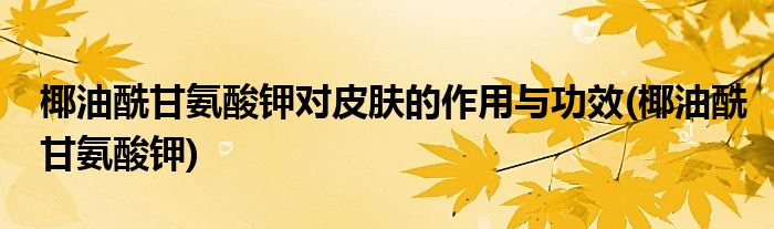 椰油酰甘氨酸钾对皮肤的作用与功效(椰油酰甘氨酸钾)