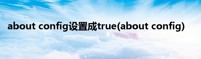 about config设置成true(about config)