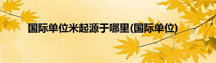 国际单位米起源于哪里(国际单位)