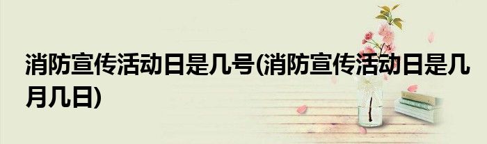 消防宣传活动日是几号(消防宣传活动日是几月几日)