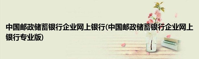 中国邮政储蓄银行企业网上银行(中国邮政储蓄银行企业网上银行专业版)