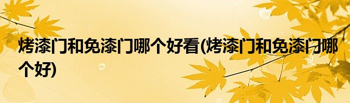 烤漆门和免漆门哪个好看(烤漆门和免漆门哪个好)