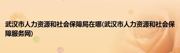 武汉市人力资源和社会保障局在哪(武汉市人力资源和社会保障服务网)